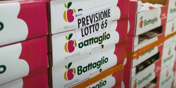 ¿Cómo optimizar la logística para alcanzar el éxito?