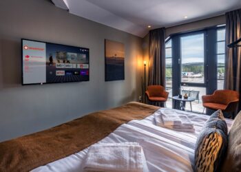 PPDS - TPVNews - TAI Editorial - España