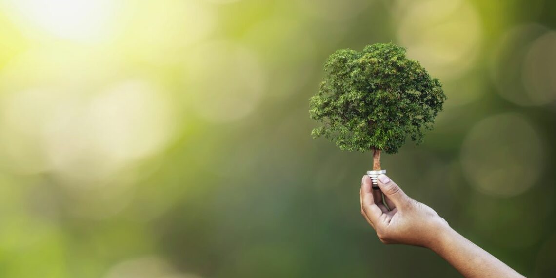 sustainability-partner-recognition-program-tpvnews-zebra-canal -Tai Editorial España