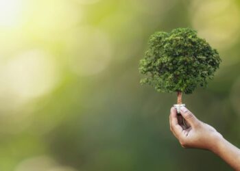 sustainability-partner-recognition-program-tpvnews-zebra-canal -Tai Editorial España