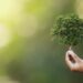 sustainability-partner-recognition-program-tpvnews-zebra-canal -Tai Editorial España