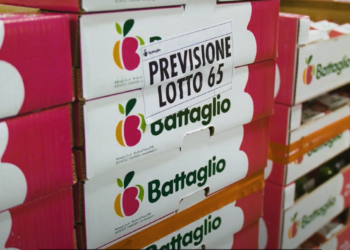 logistica - TPVnews- Brother - Tai Editorial España