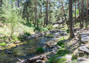 Descanso - TPVnews - hasta septiembre - Tai Editorial España